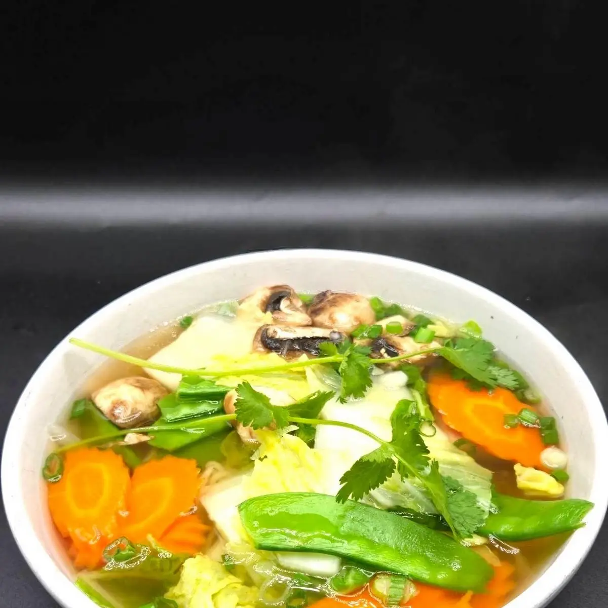 Vegetable Soup
