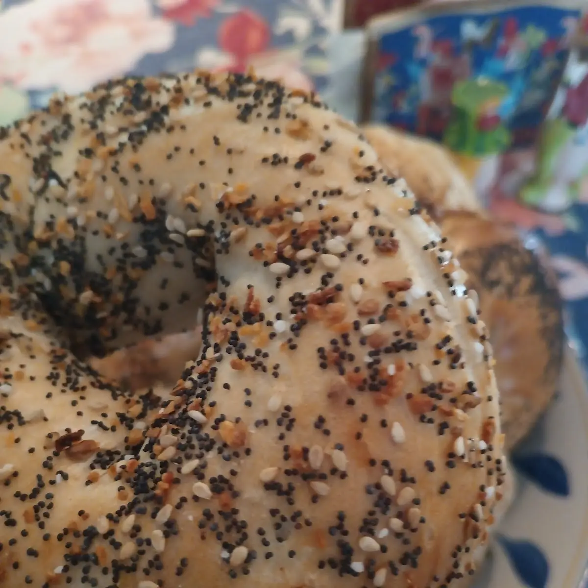 Plain Bagel