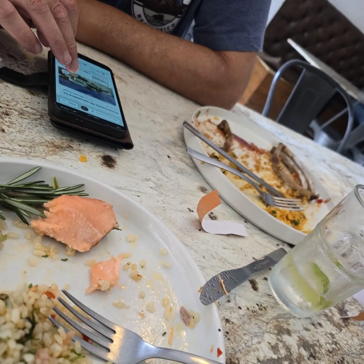 Grilled Salmon & Skin