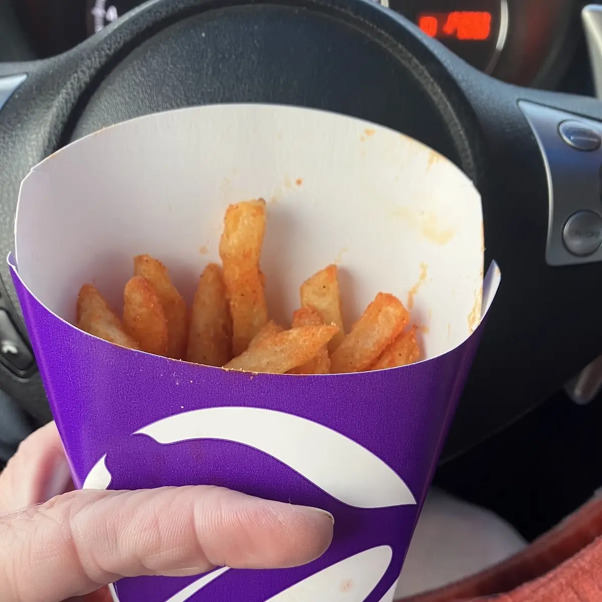 Nacho Cheese Fries