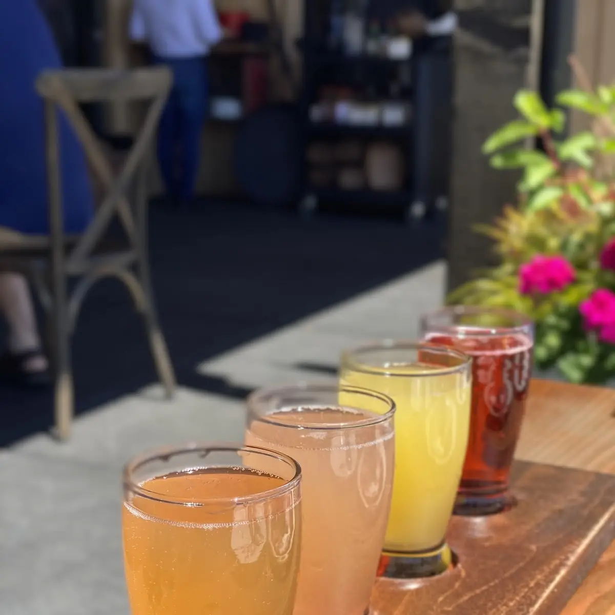 Mimosa Flight