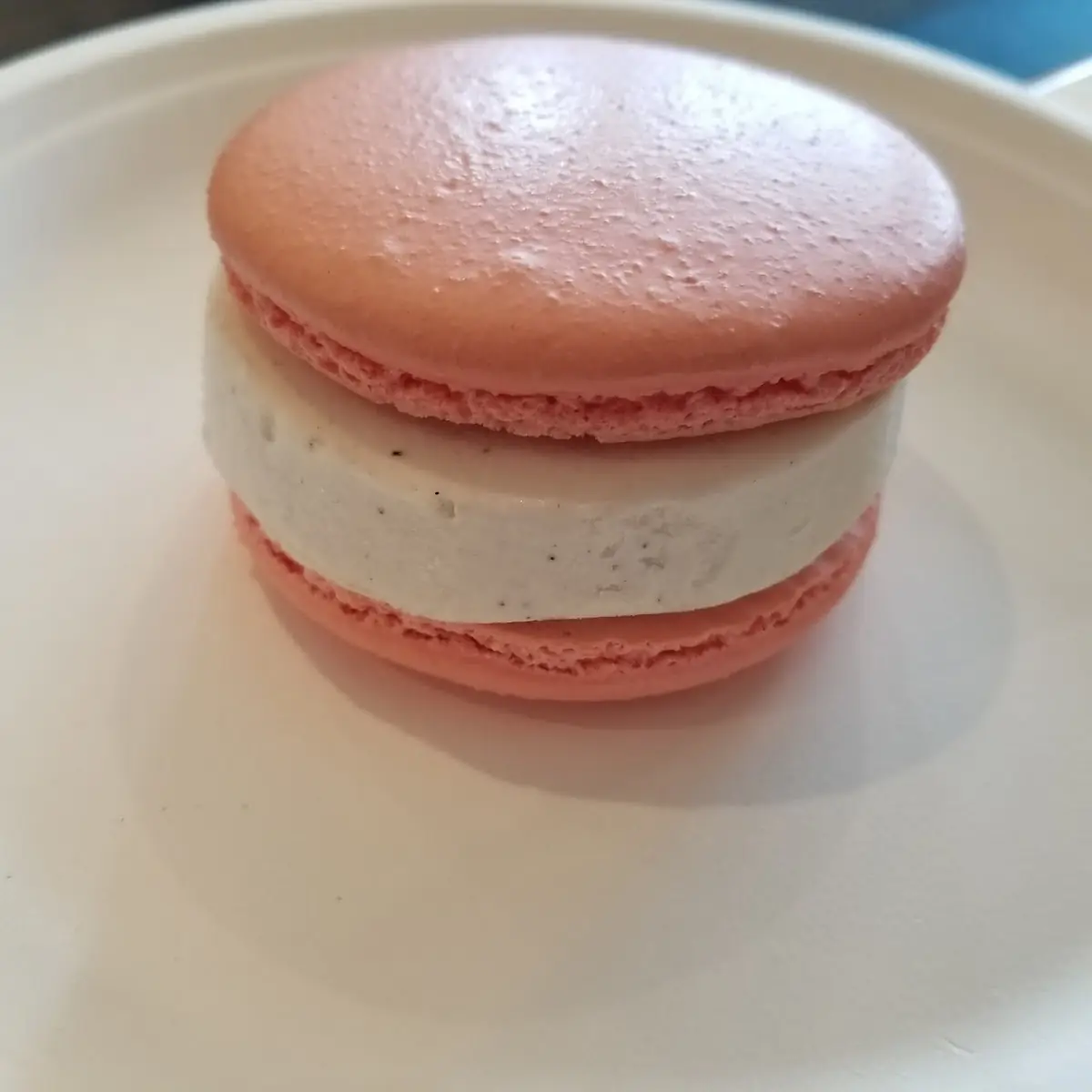 Ice Cream Sandwich