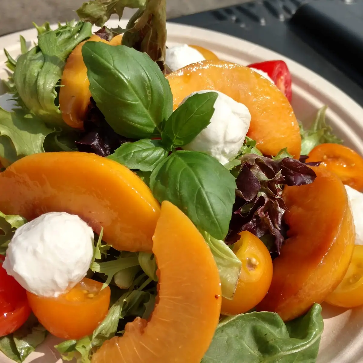 Summer Salad