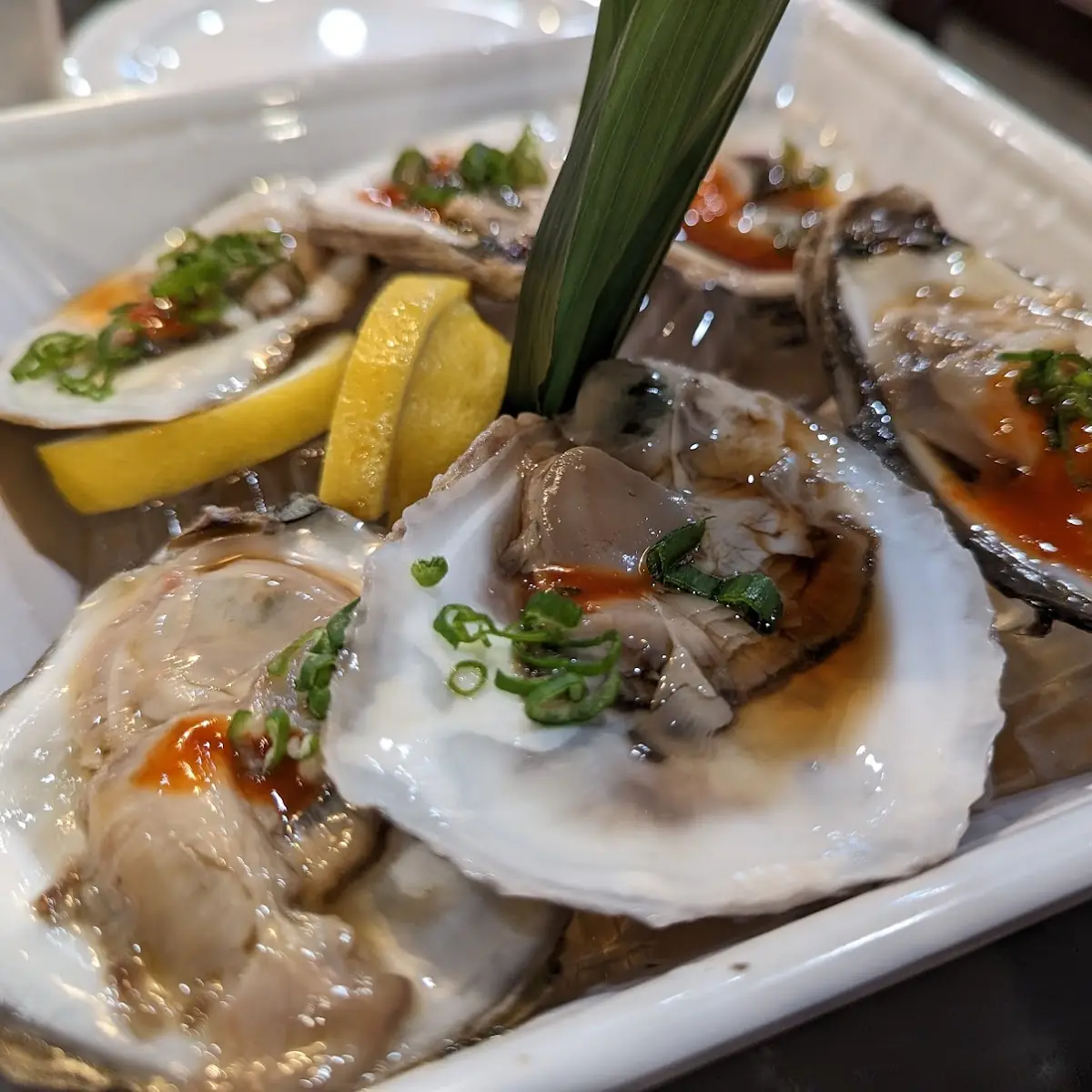 Oysters on the Half Shell