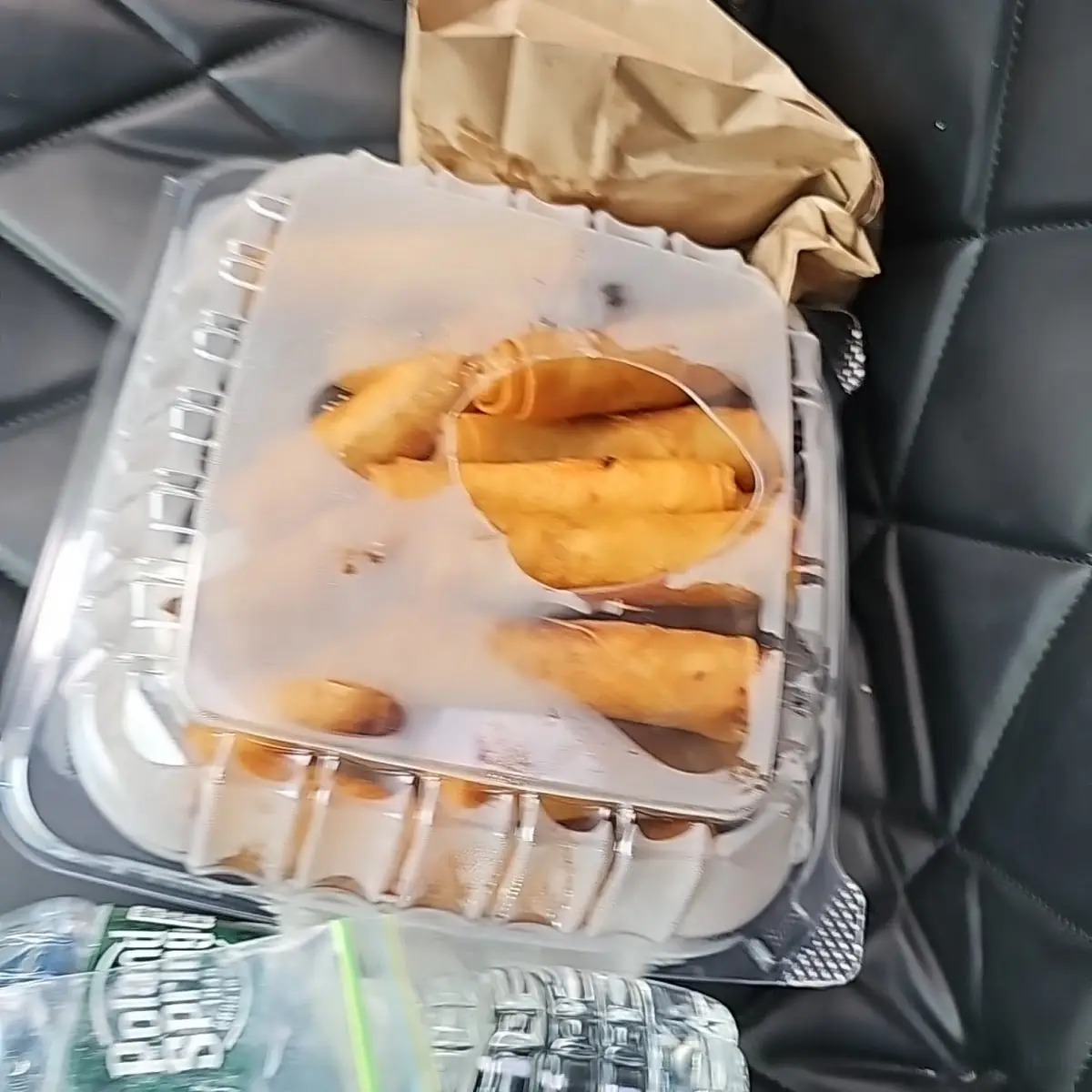 Chicken Spring Roll