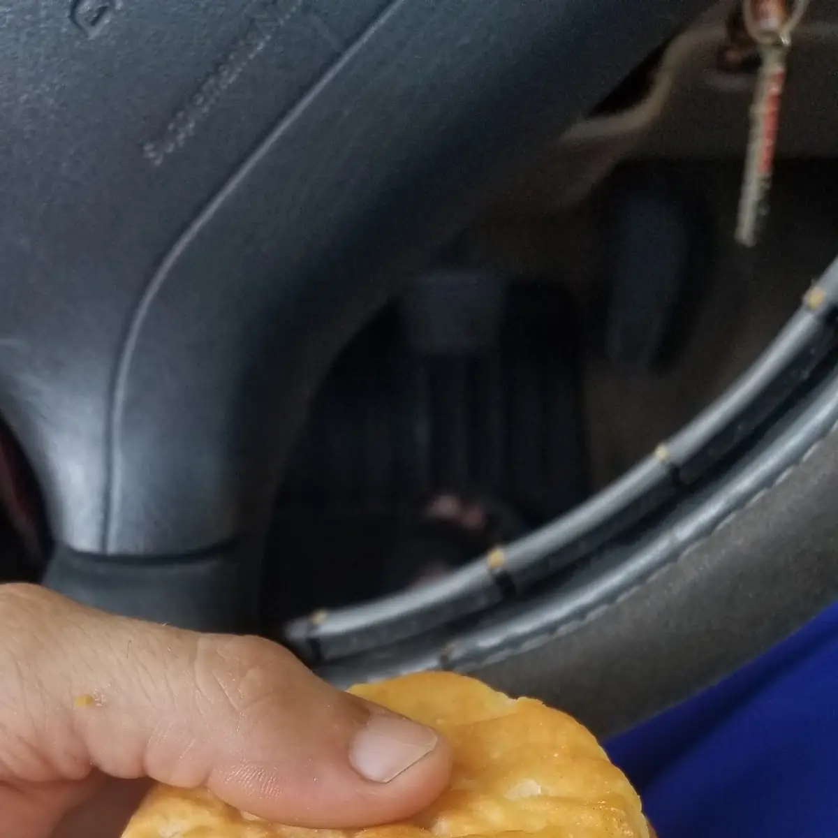 Honey Butter Chicken Biscuit