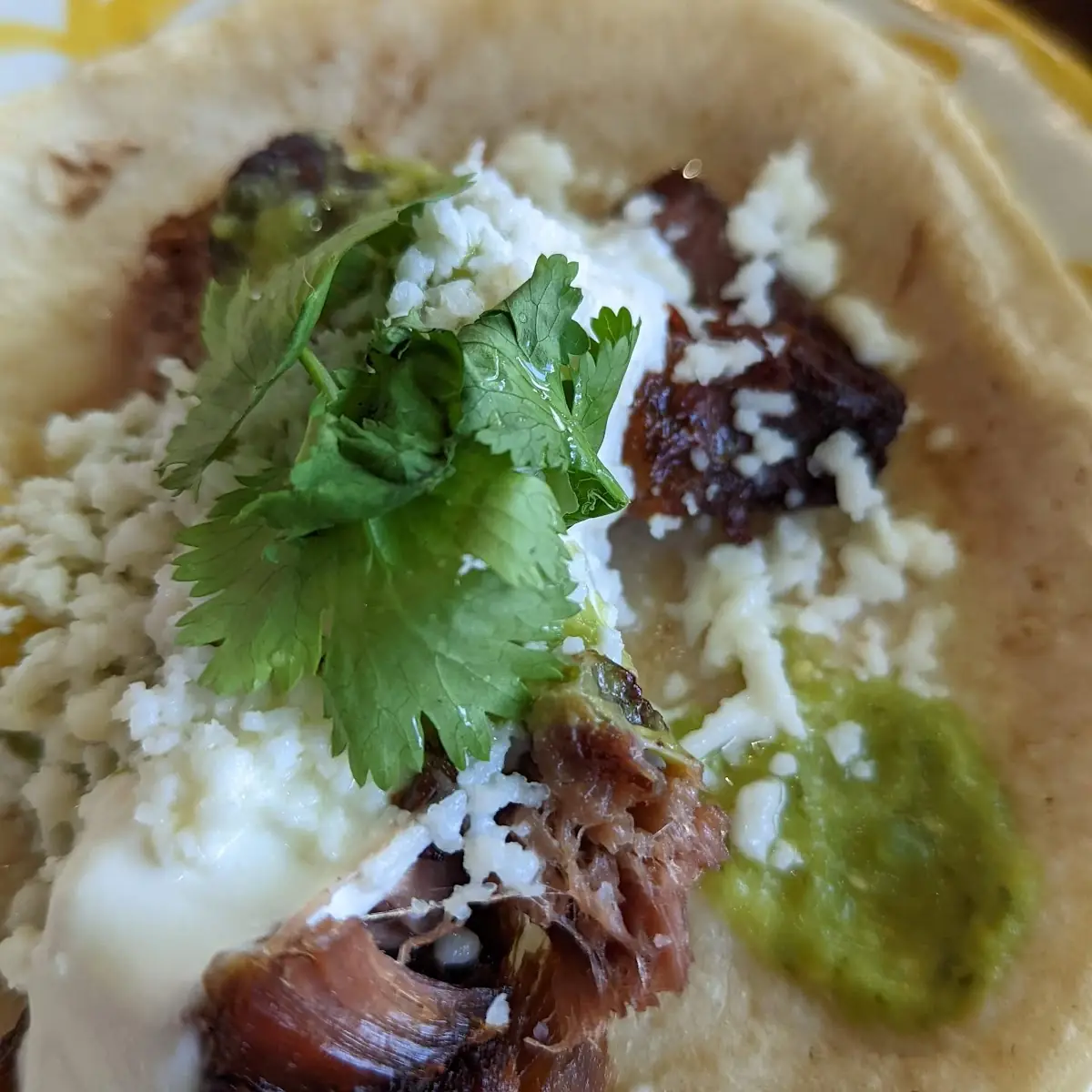 Pork Belly Tacos
