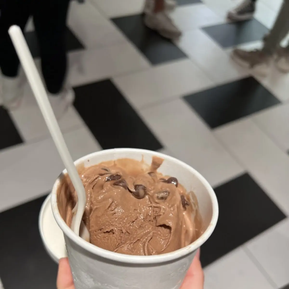 Chocolate Ice Cream