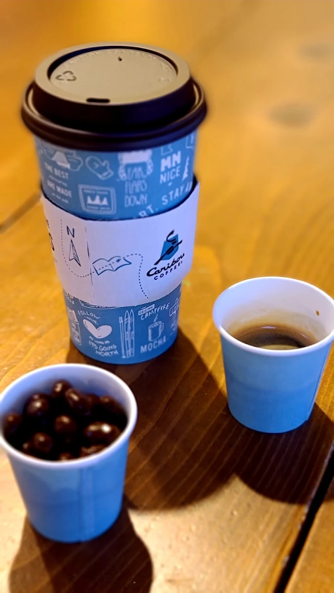 Chocolate Covered Espresso Beans