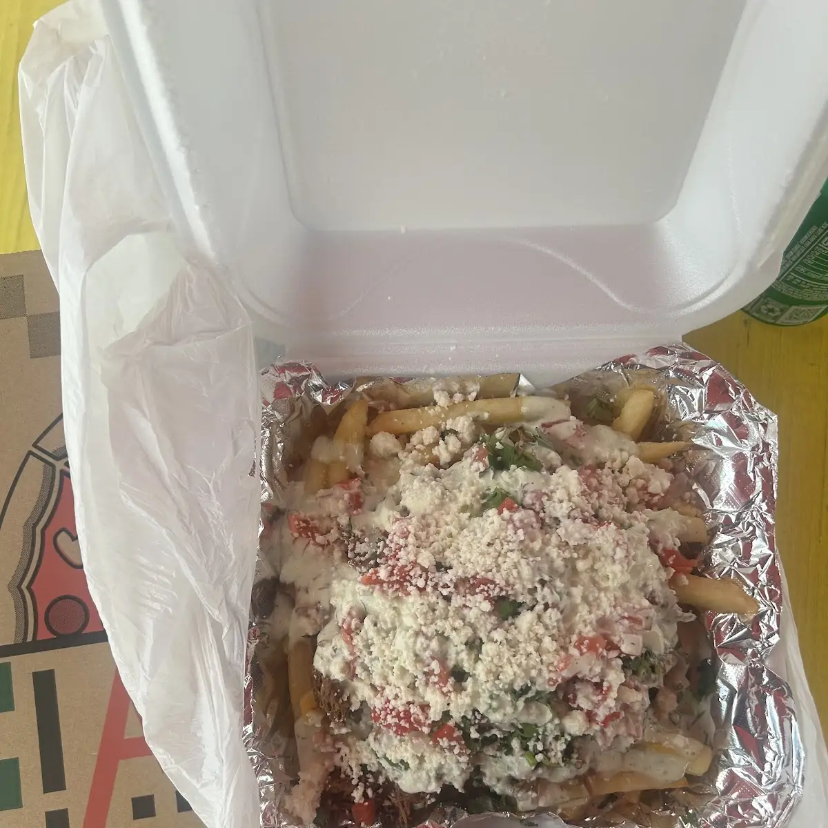 Birria French Fries