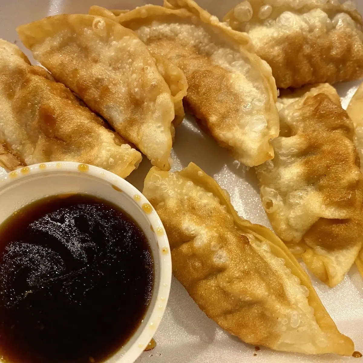 Steamed or Pan Fried Pork Dumplings