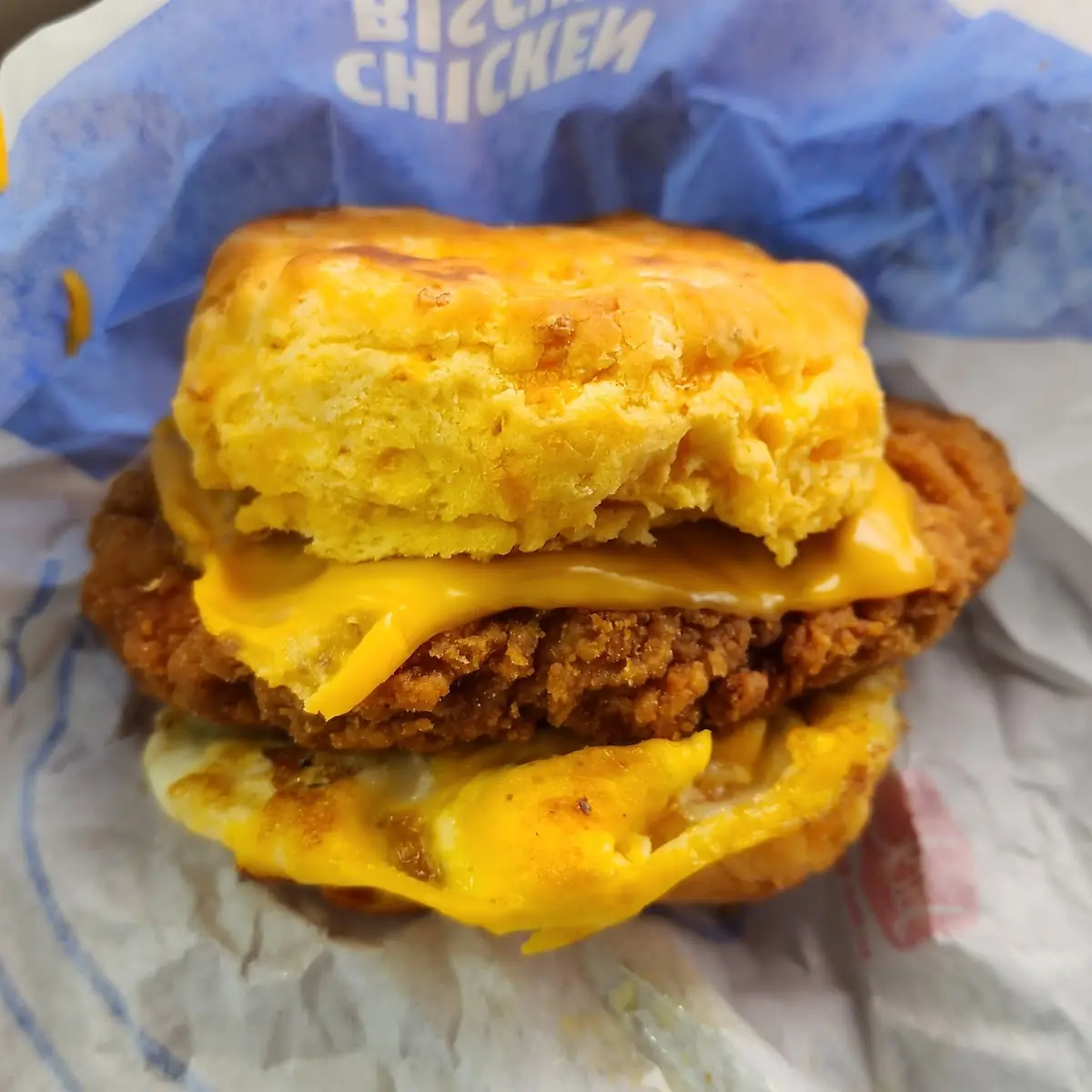 Cheddar Chicken Egg Biscuit