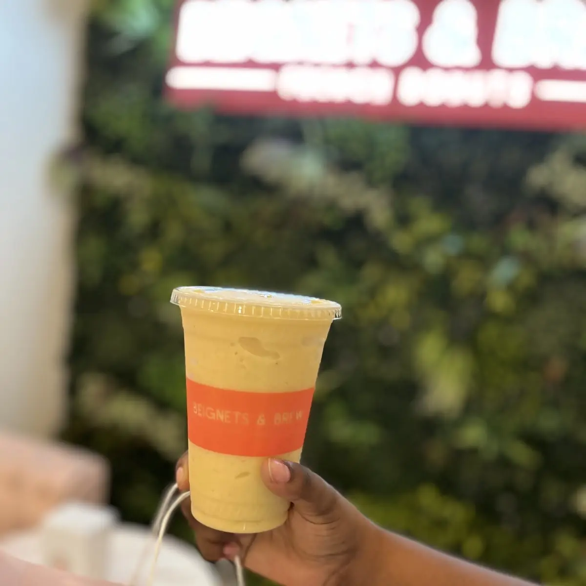 Pineapple Paradise Smoothie