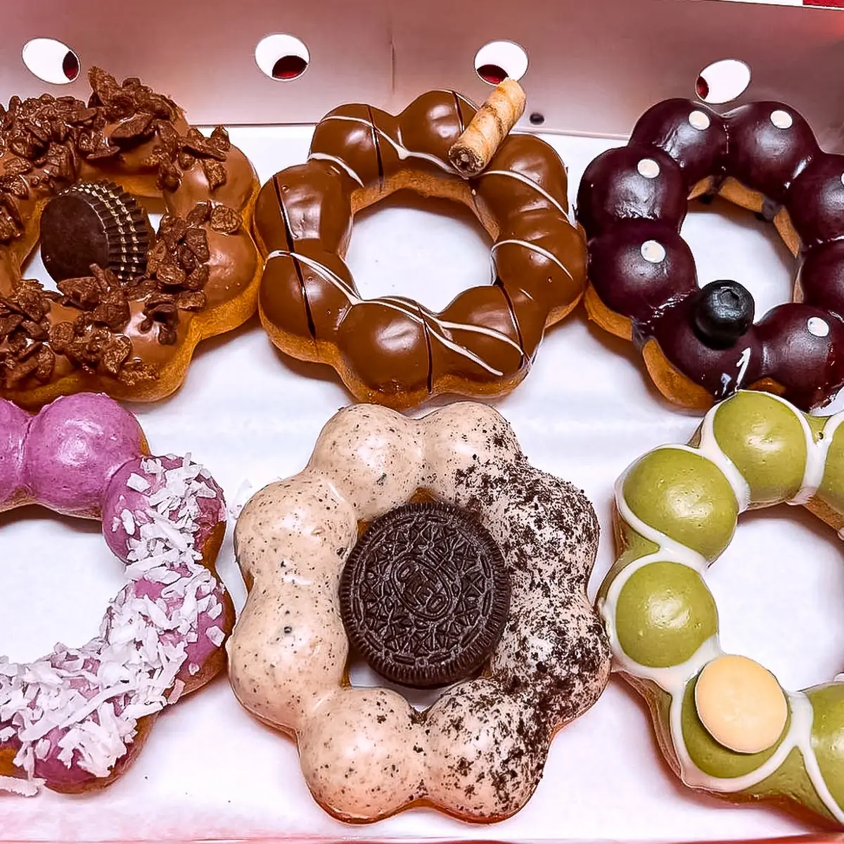 Doughnut