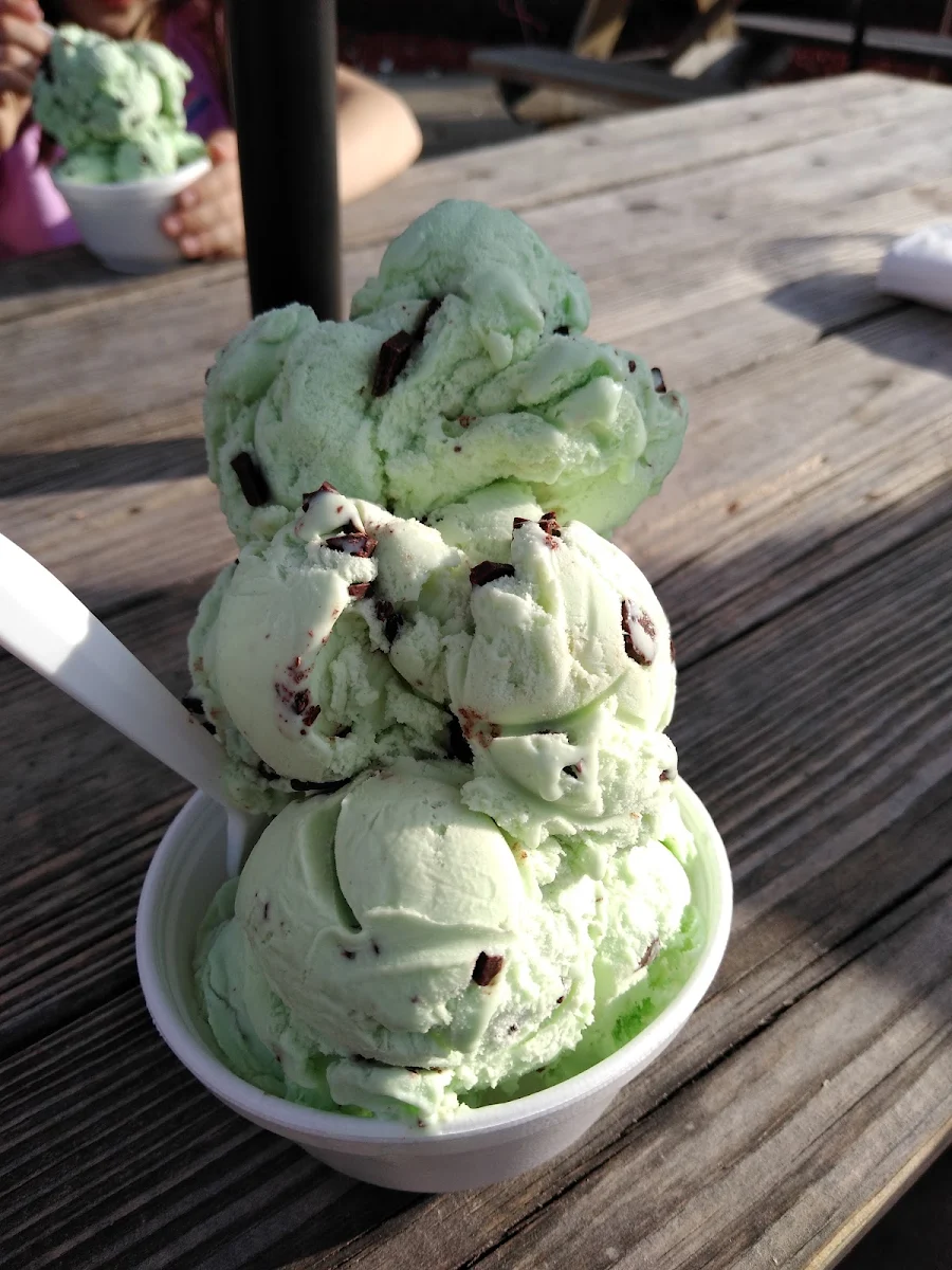 Mint Chocolate Chip