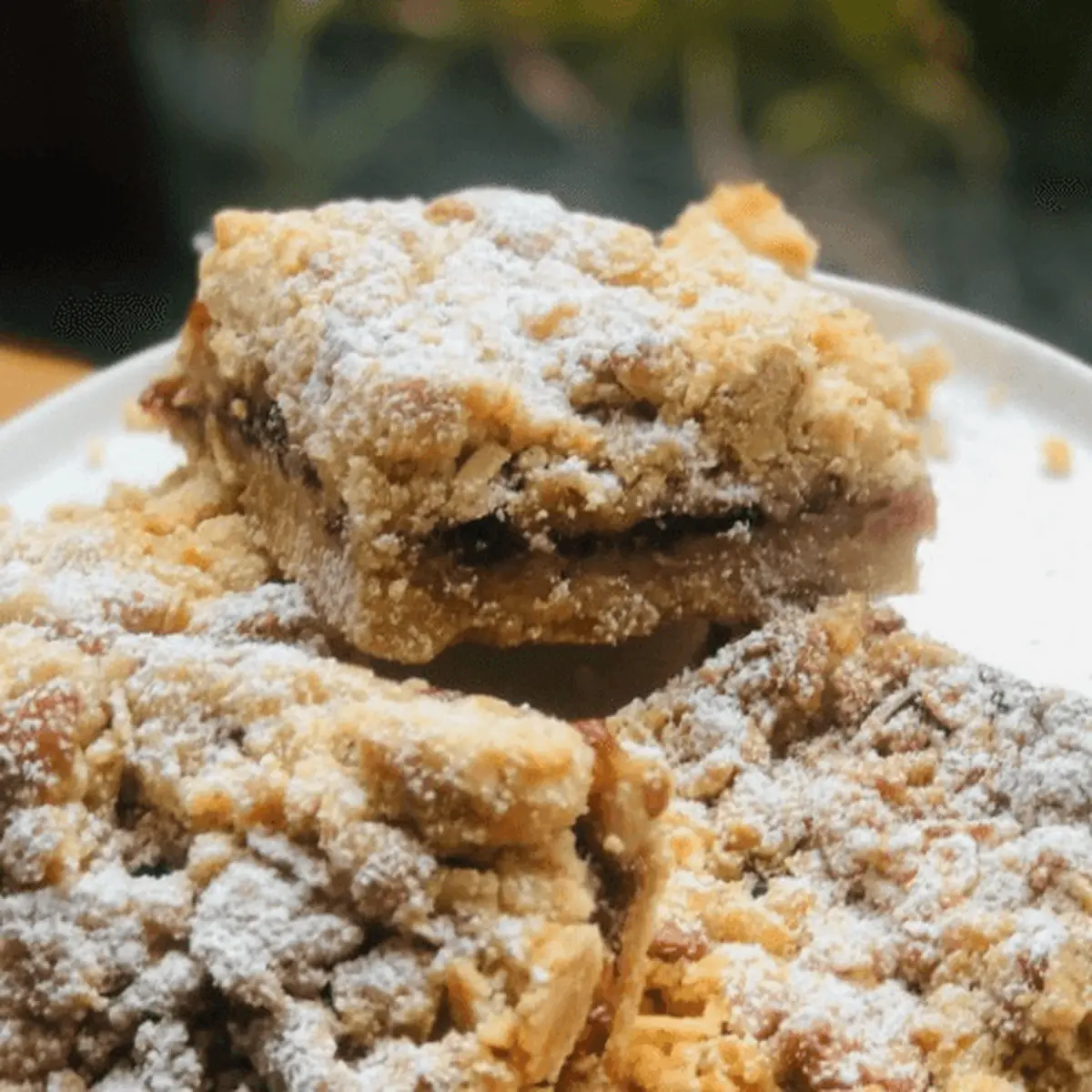 Walnut Oat Bar