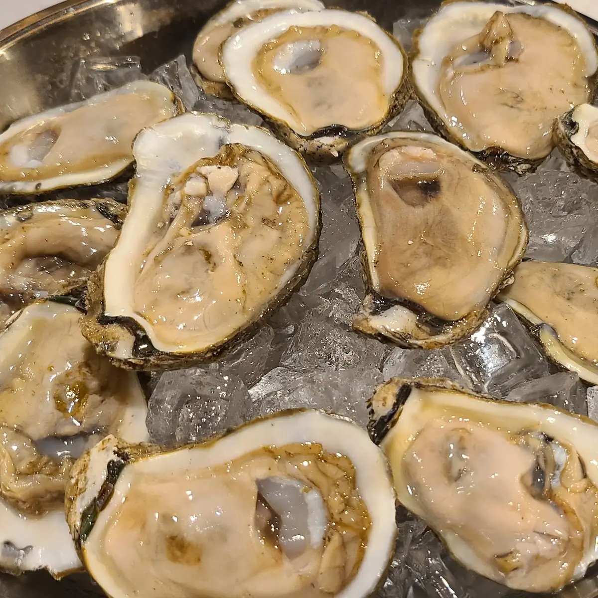 Raw Oysters