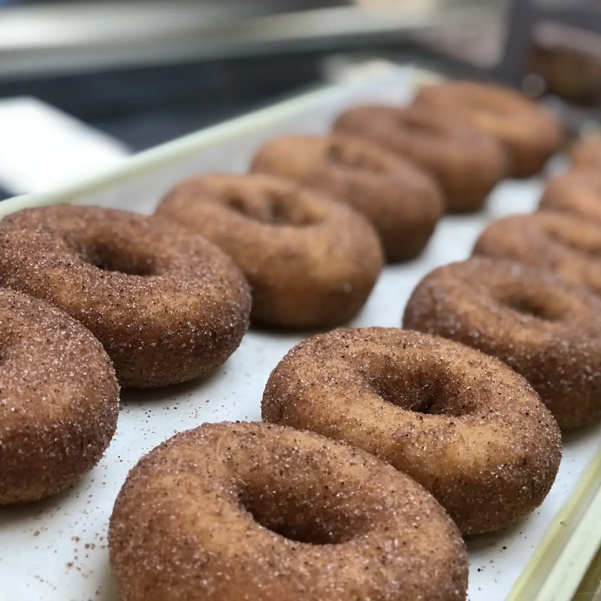 Cinnamon Cake Donuts