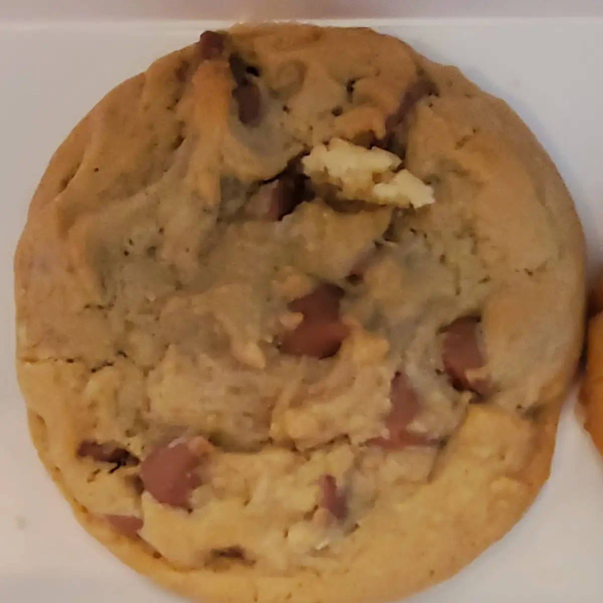 Chocolate Chip