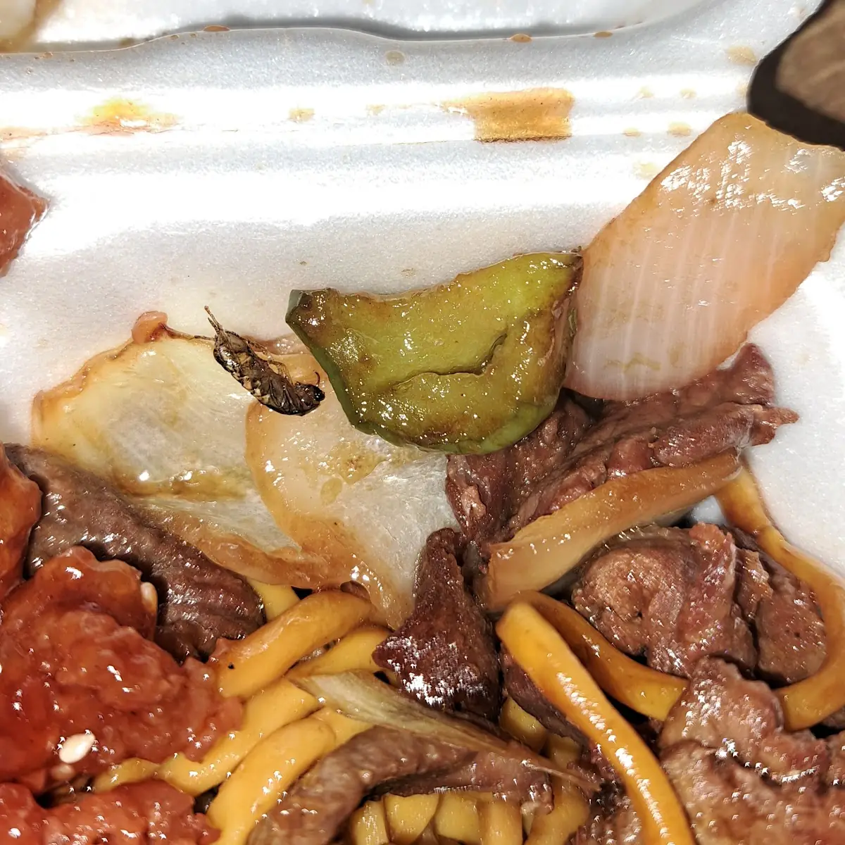 Pepper Steak with Roach
