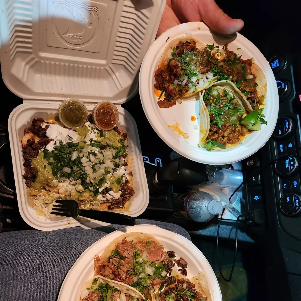 Tacos and Nacho Fries