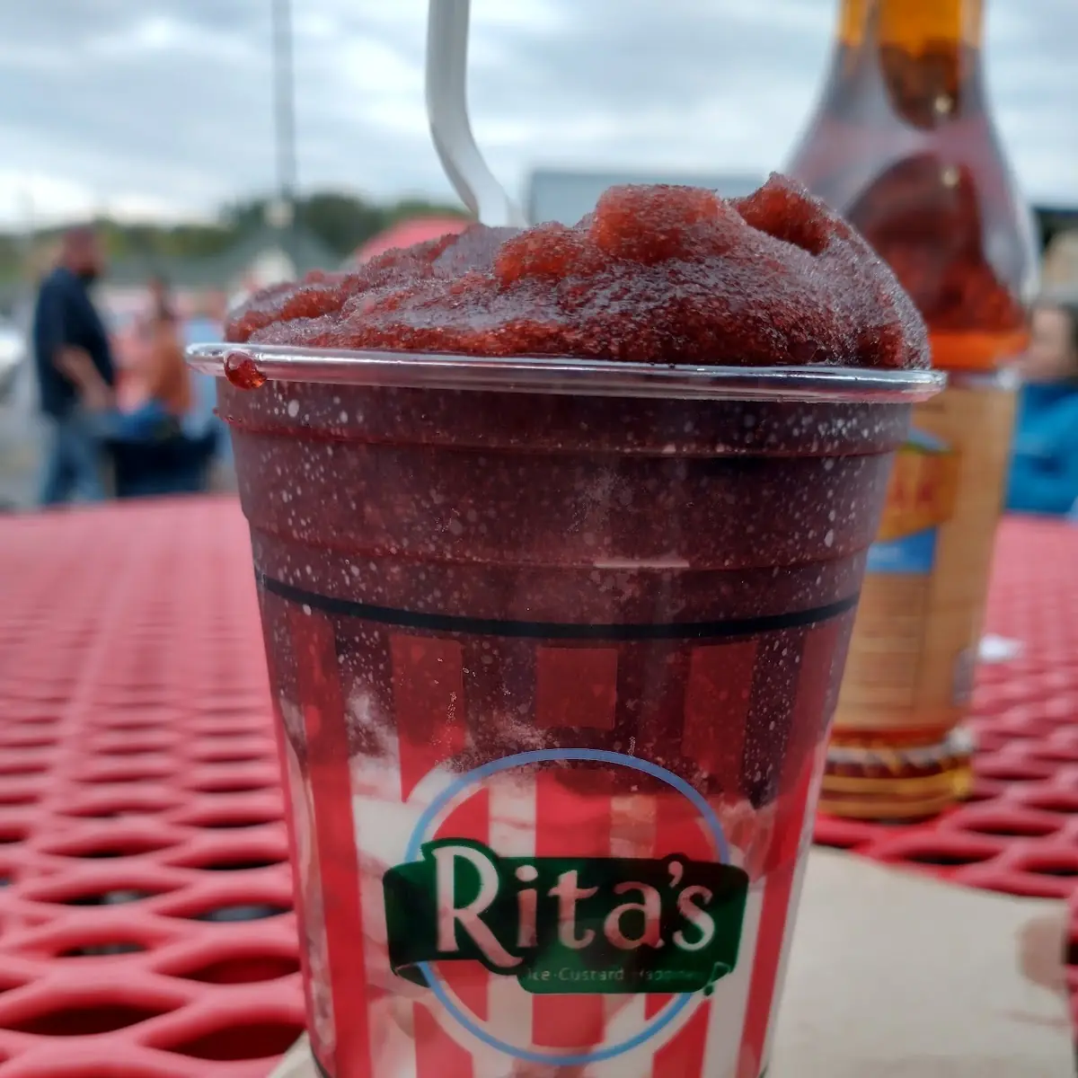 Vanilla Custard & Black Cherry Ice