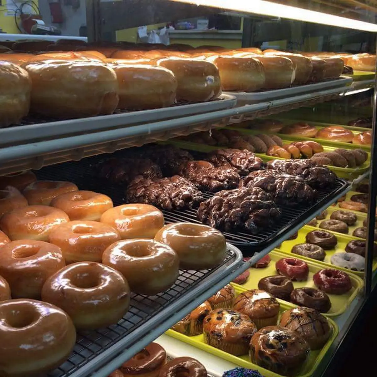 Doughnut