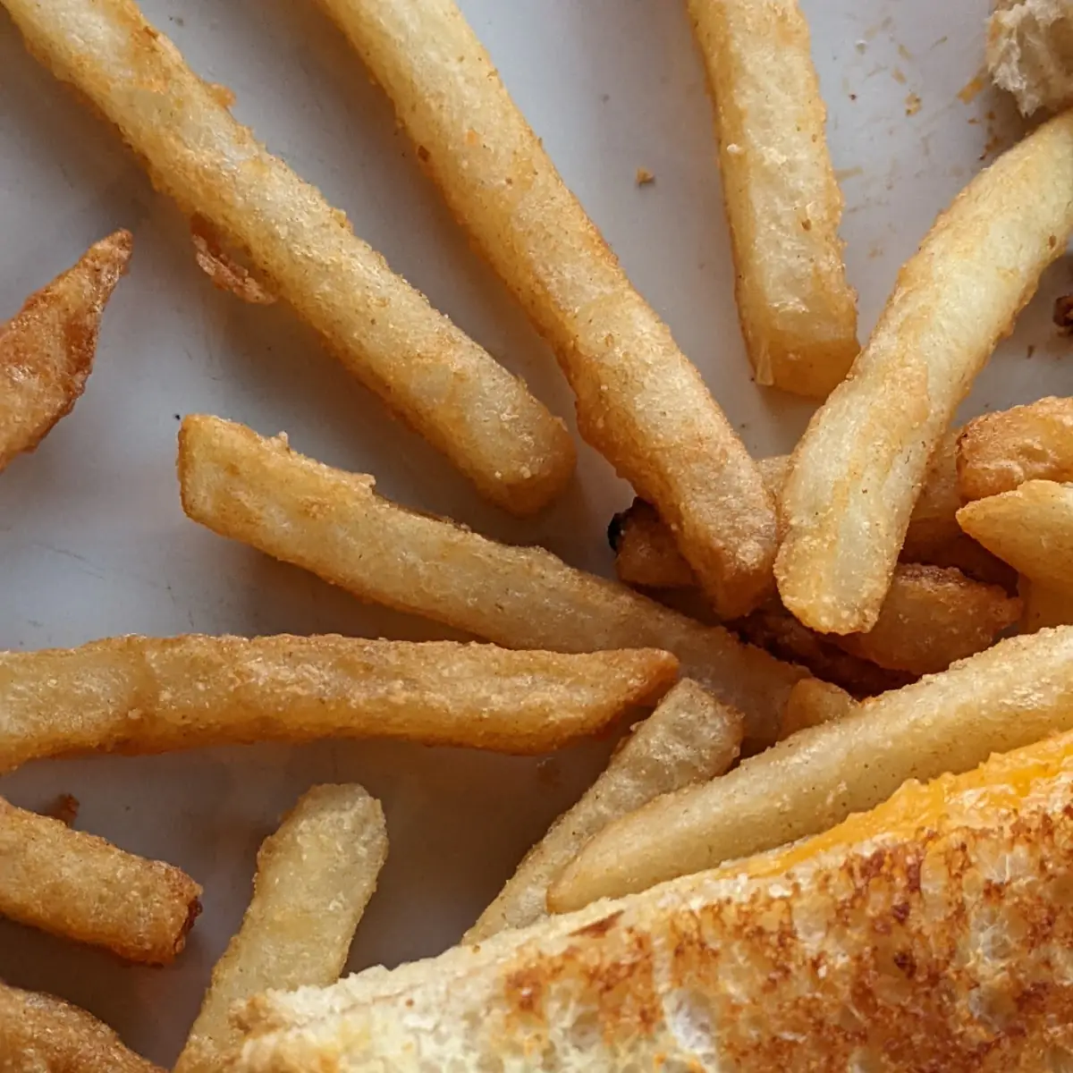 Grilled Cheese Sandwich & Fries