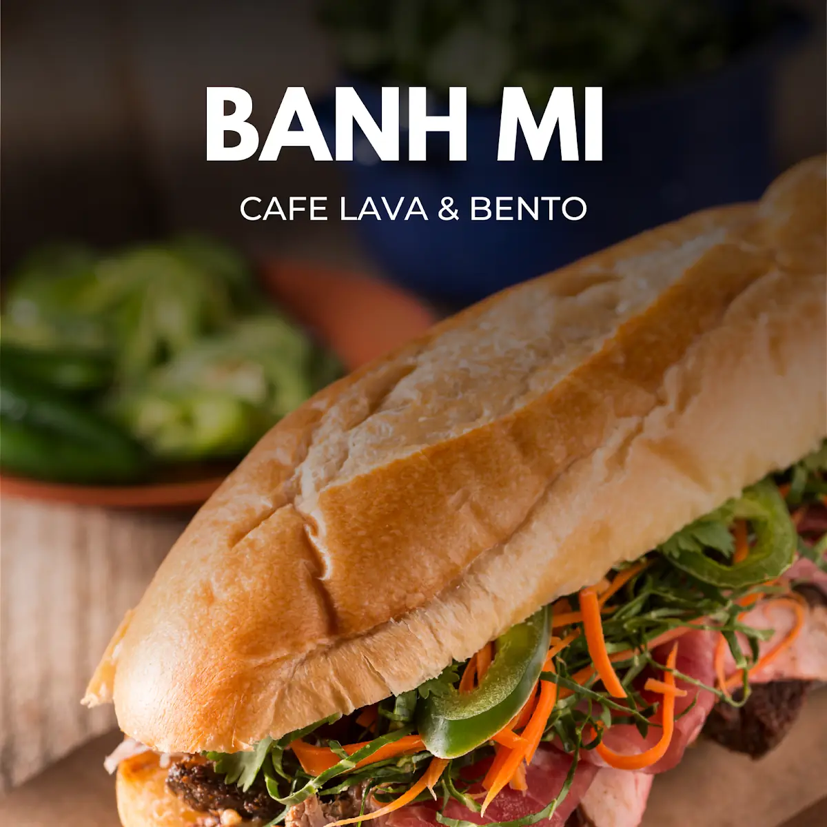 Traditional Banh MI Sandwich