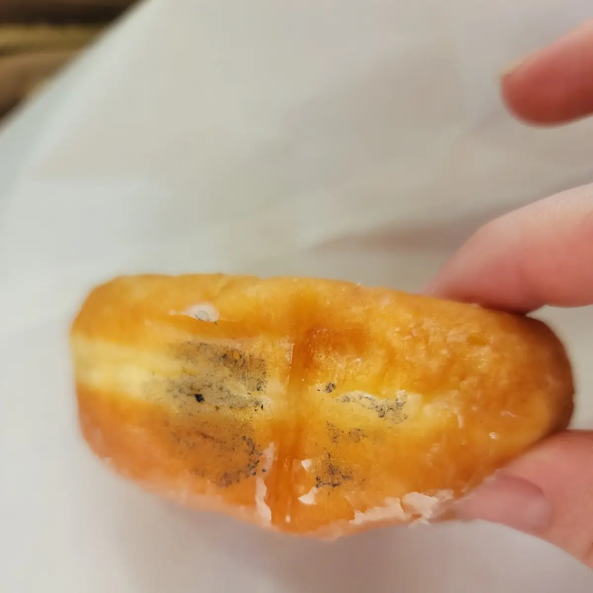 Freshly Dropped Glazed Donut