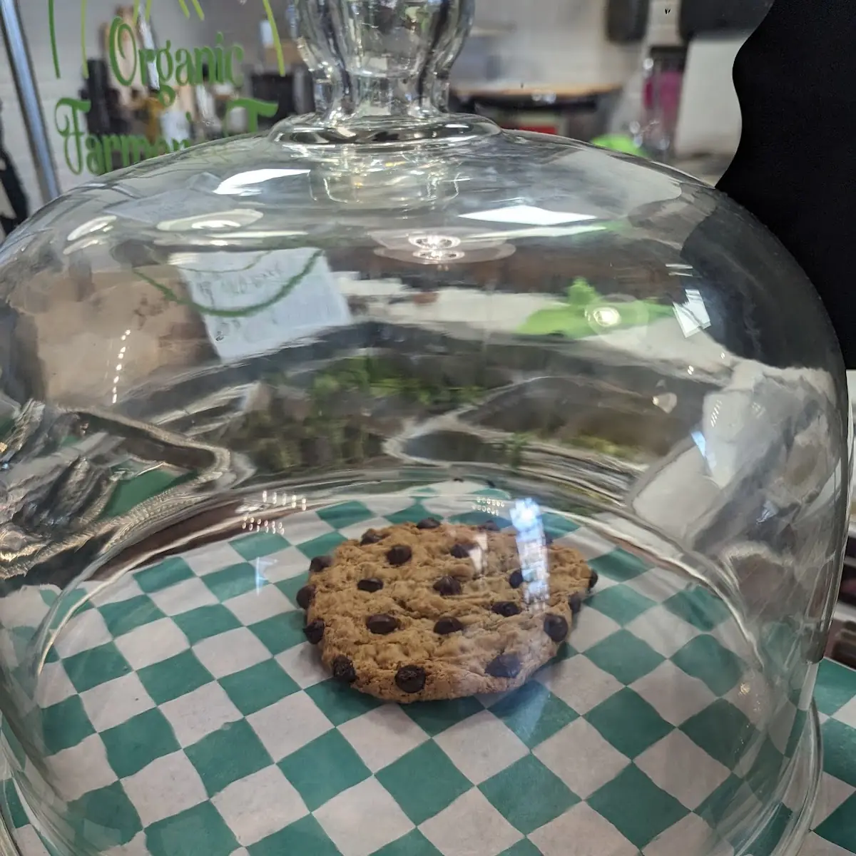 Chocolate Chip Cookie