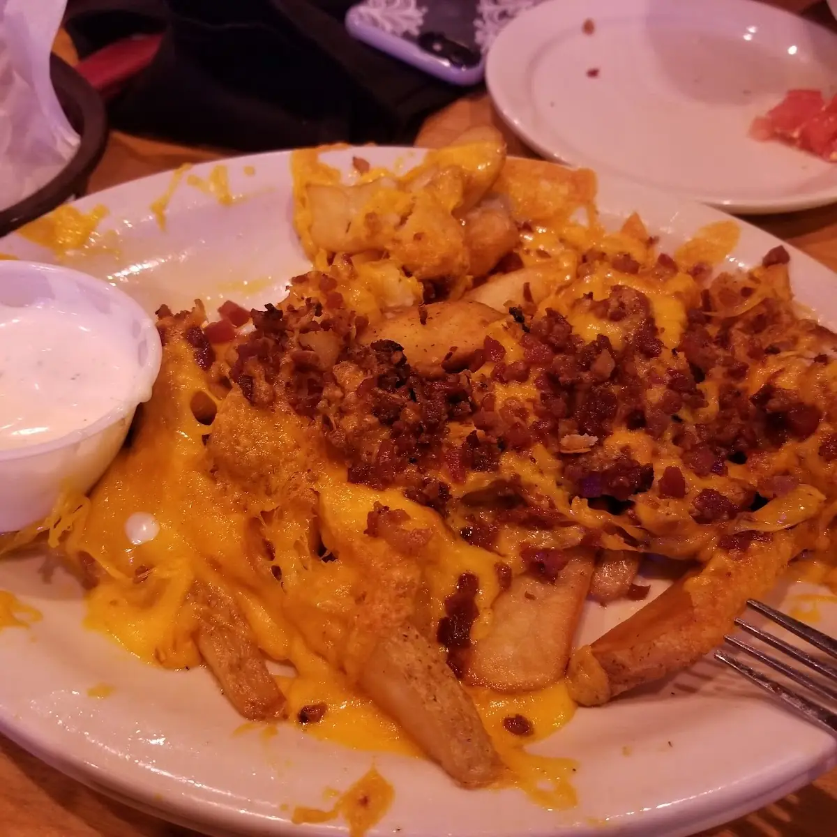 Texas Cheese Fries