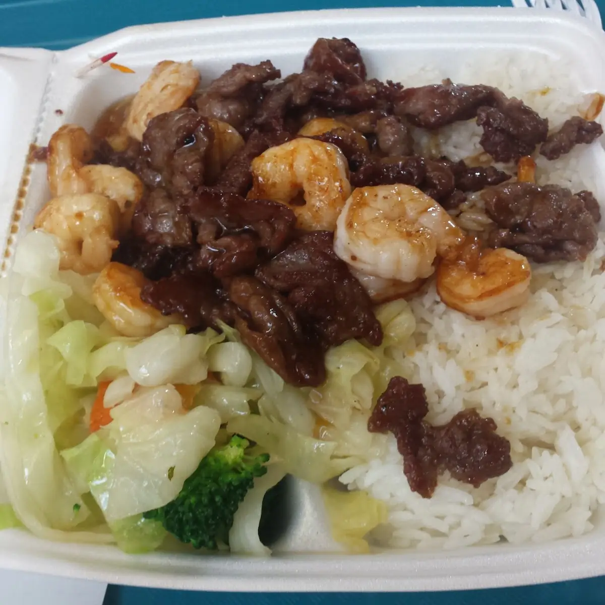 Chicken and Beef Teriyaki