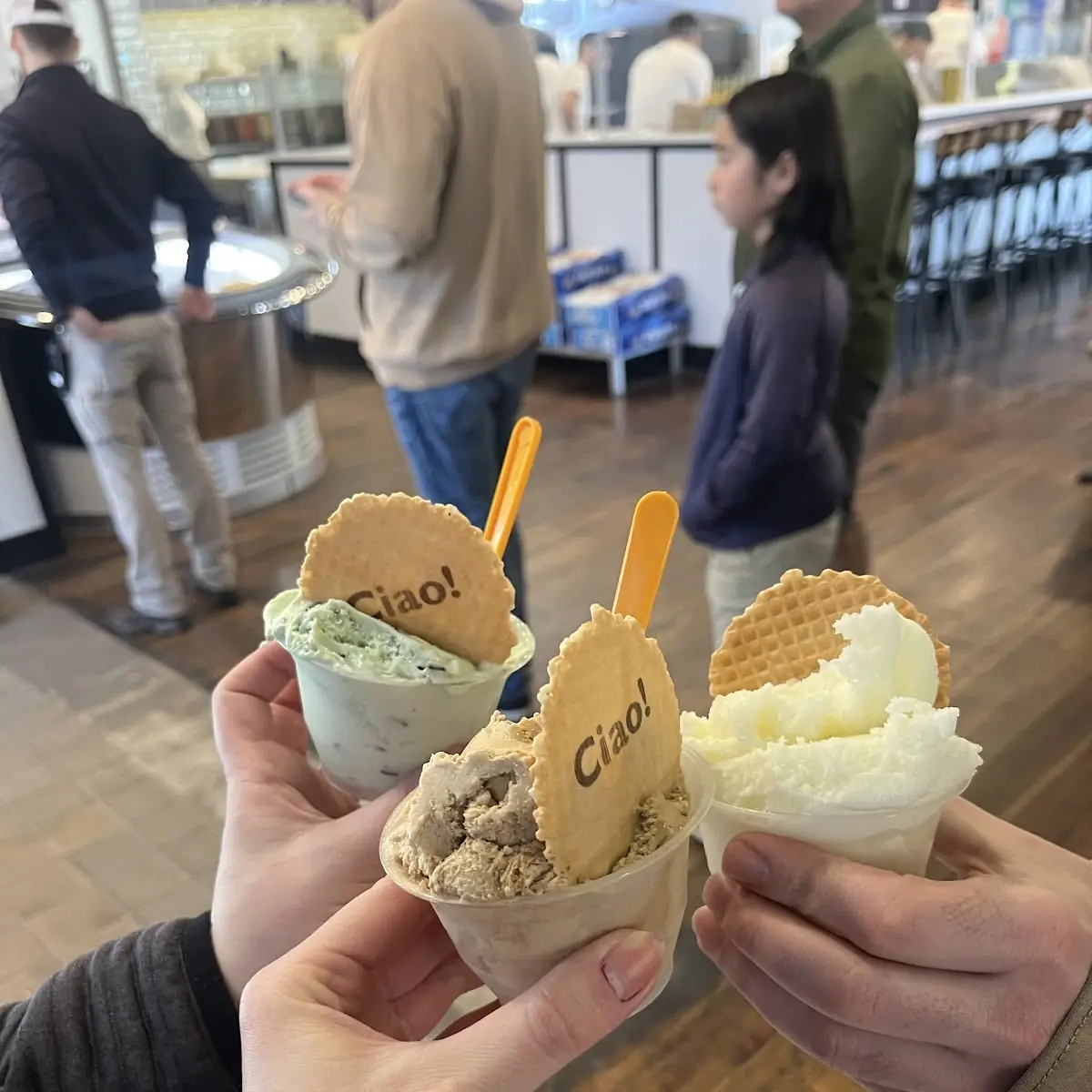 Gelato Mint Chocolate Chip