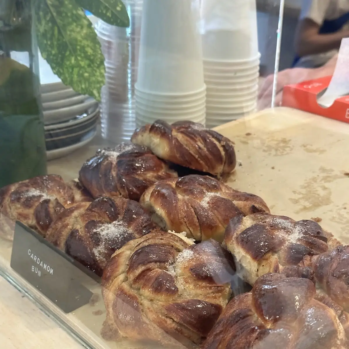 Cinnamon Bun
