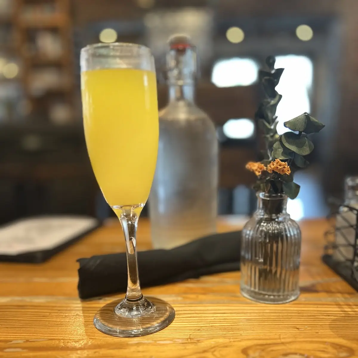 Sunrise Mimosa