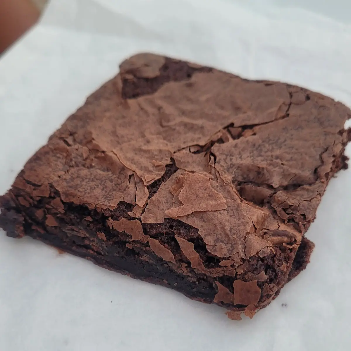Triple Chocolate Brownie