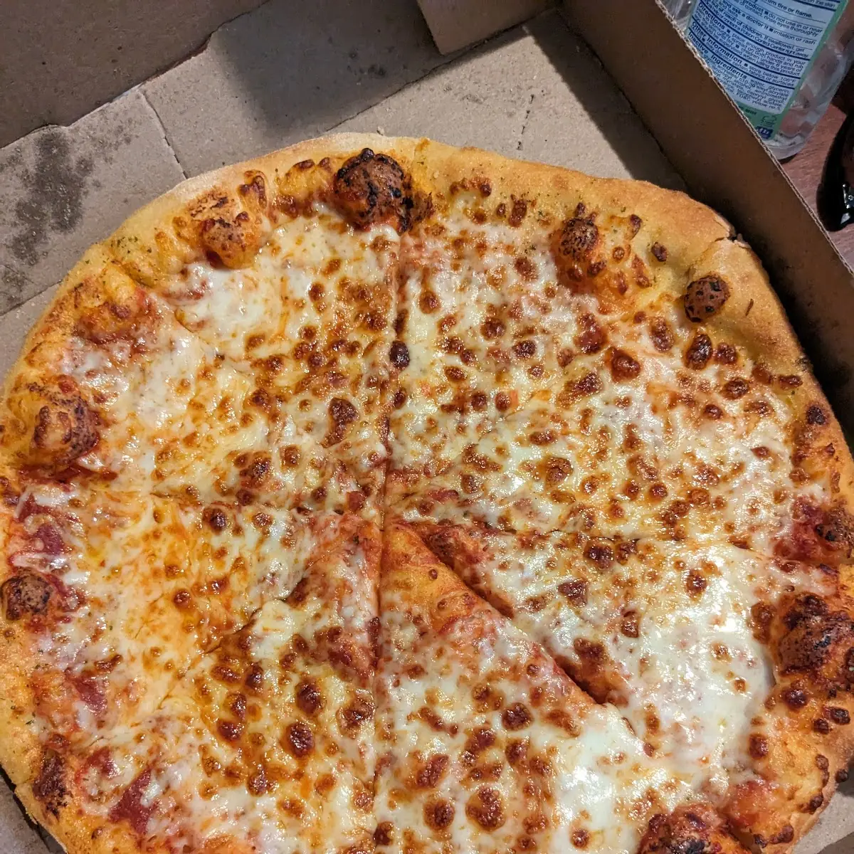Extra Cheese Pizza