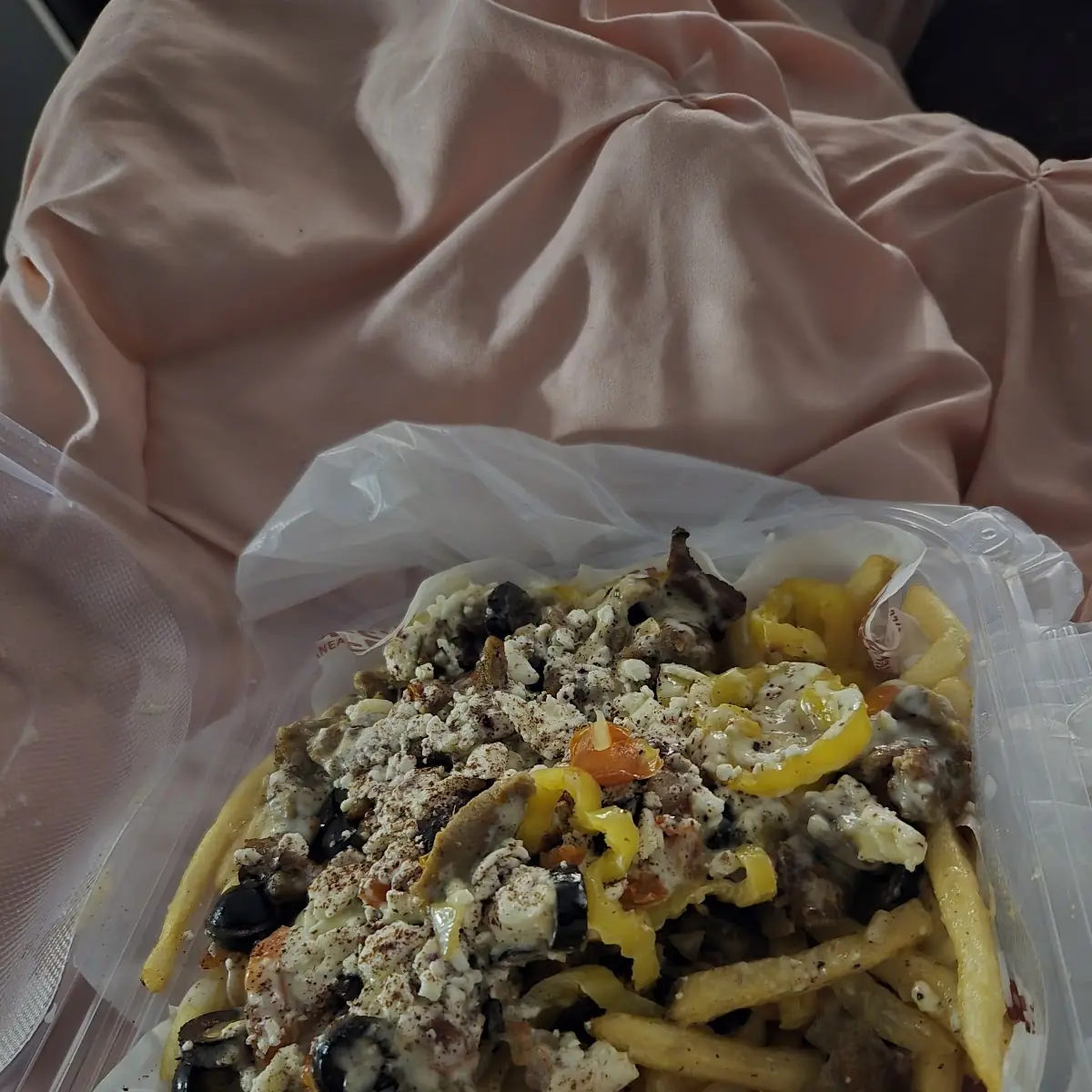 Carne Asada Fries