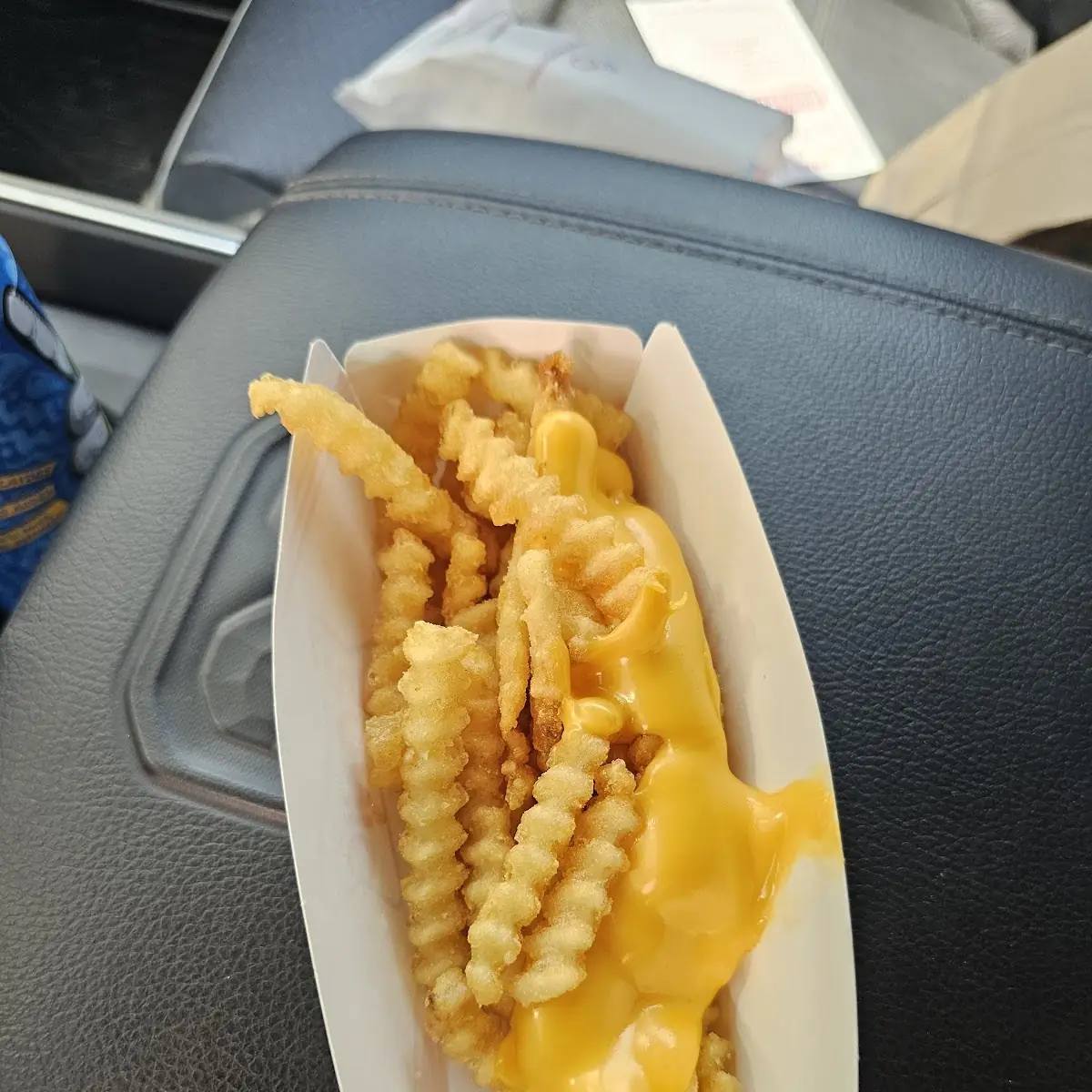 Chili Cheese Fries