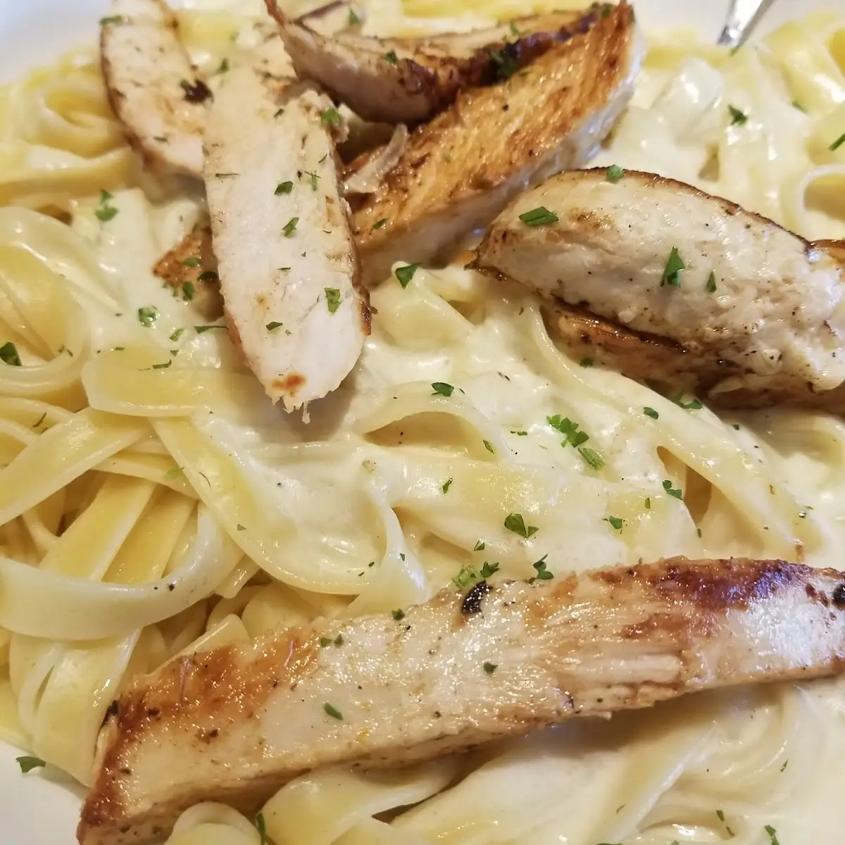 Chicken Alfredo