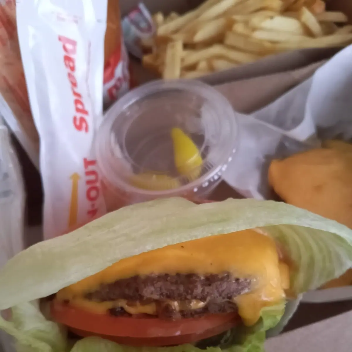 Double Double Cheeseburger Lettuce Wrap