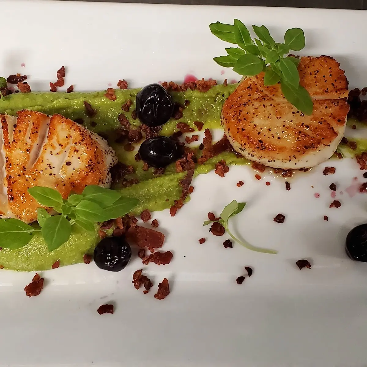 Diver Scallops