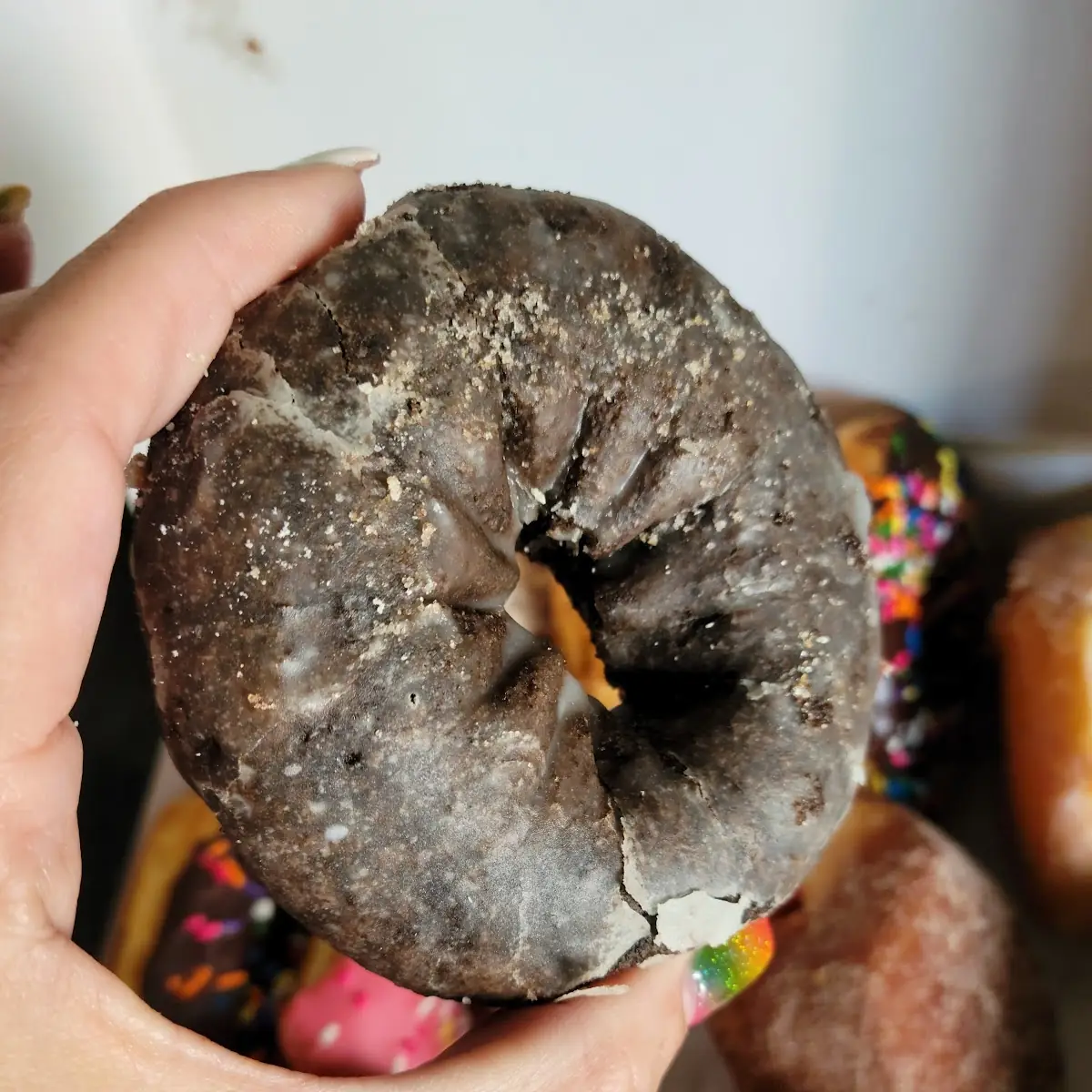 Double Chocolate Donut