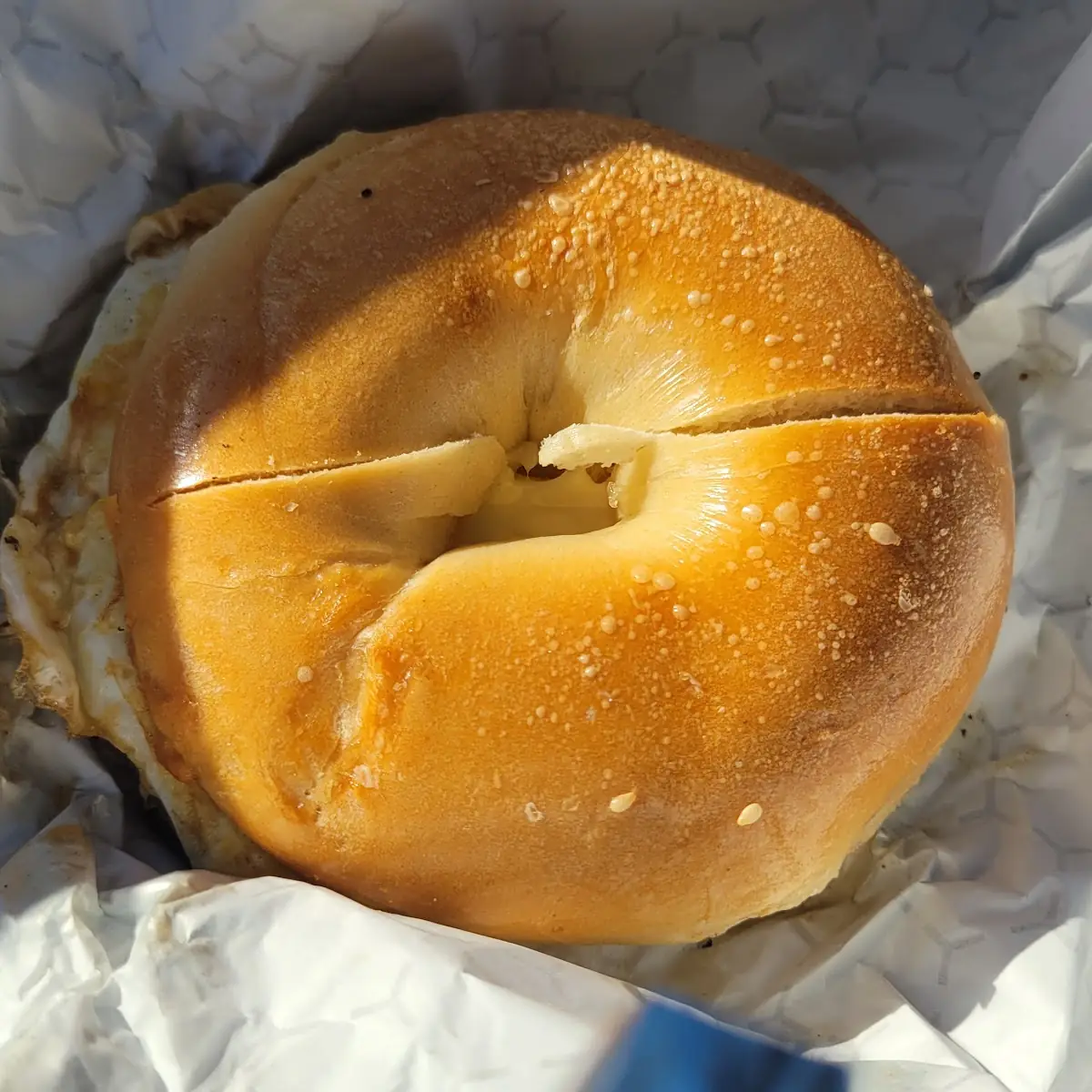 Pork Roll Egg & Cheese Bagels