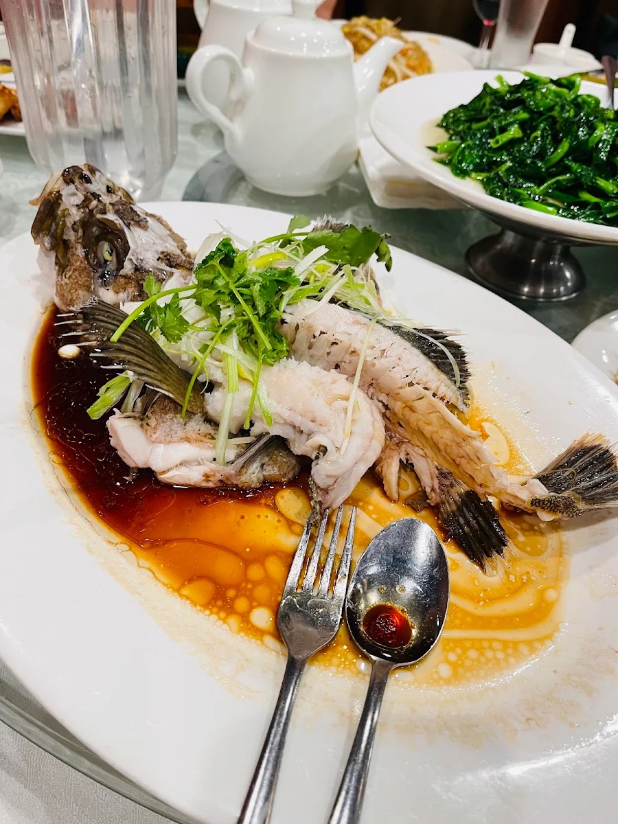 Steamed Black Cod with Black Bean Sauce