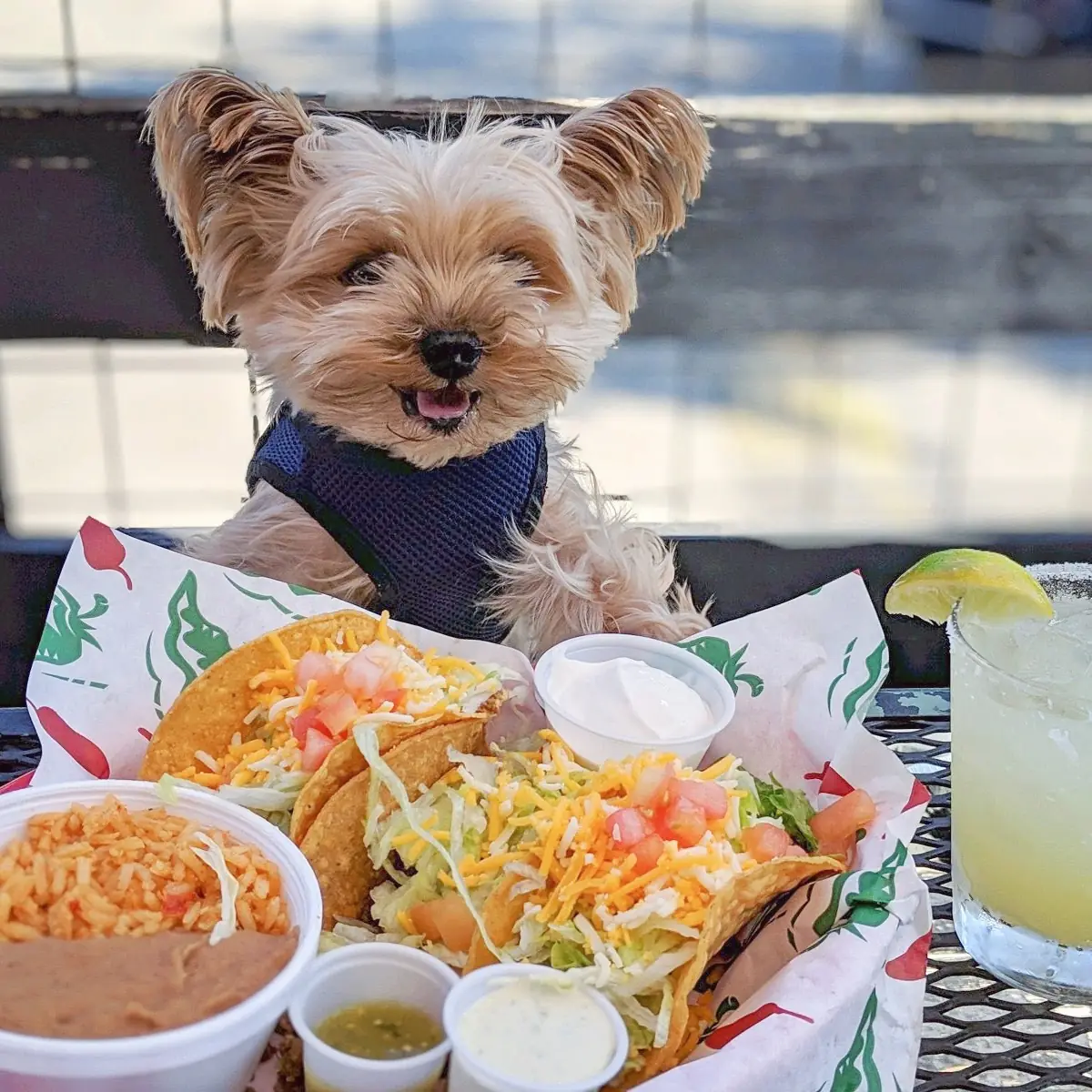 Beef Tacos Combo