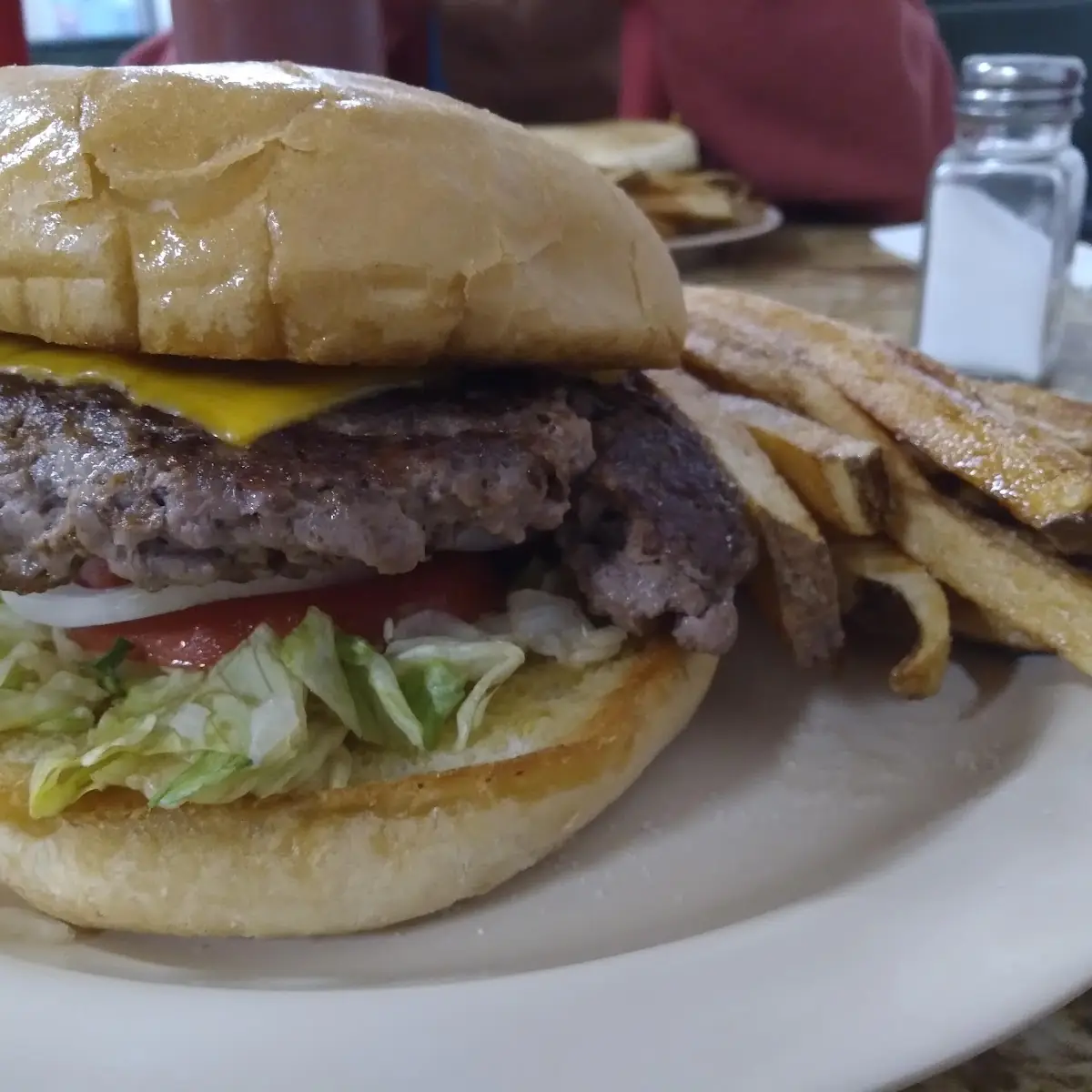 Double Hamburger Basket