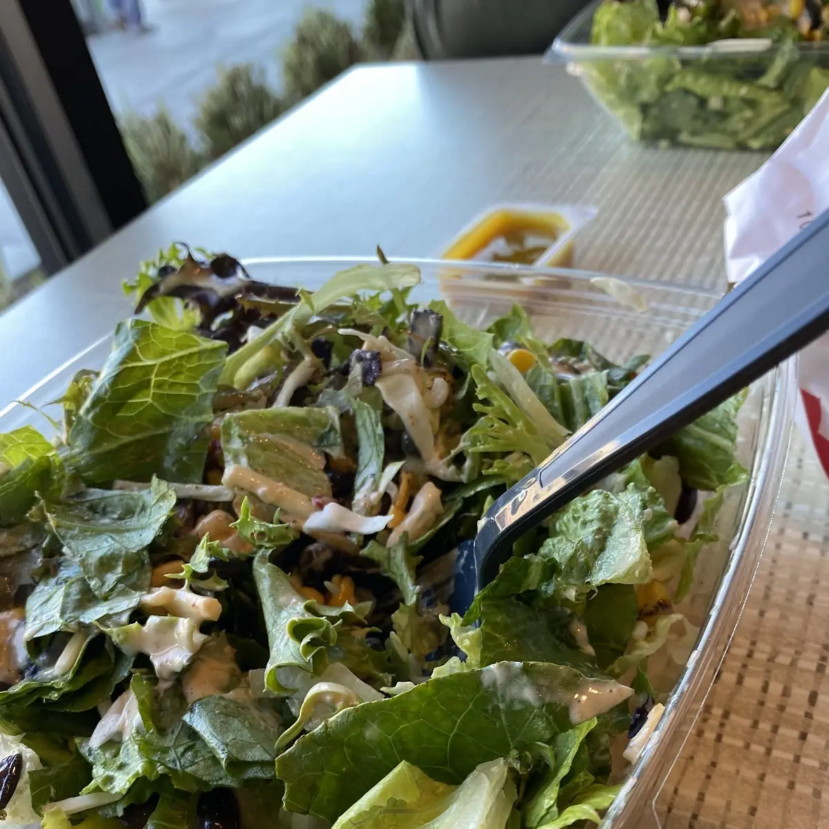 Grilled Chicken Salad