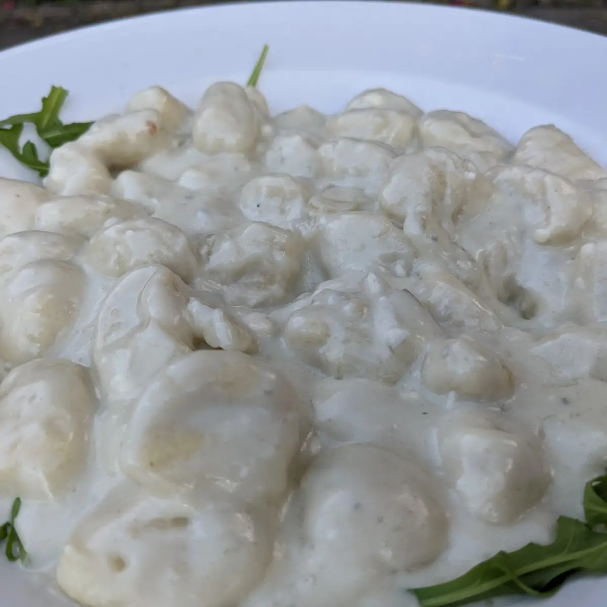Gnocchi Gorgonzola